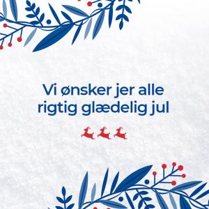 Glædelig jul fra alle os hos Invacare